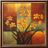 Orange Orchid