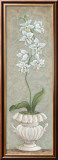 Lavish Orchids II
