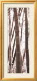 Bamboo Grove IV