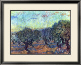The Olive Grove  c1889