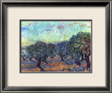 The Olive Grove  c1889