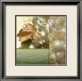 Zen Elements I