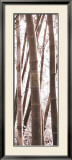 Bamboo Grove IV
