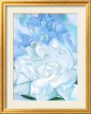 White Rose W/ Lakspur No2
