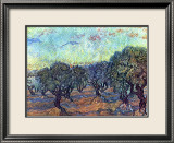 The Olive Grove  c1889