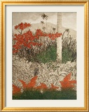 Sao Francisco
