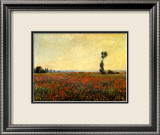 Poppy Landscape