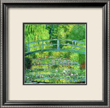 The Water Lilly Pond  Green Harmony