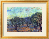 The Olive Grove  c1889
