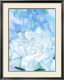 White Rose W/ Lakspur No2