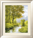 Dreamy Creek II