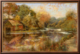 Autumnal Reflections