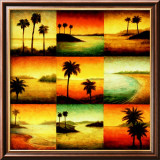 Palm Perspectives