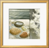 Zen Elements II