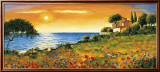 Sunlight Coast