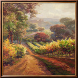 Vineyard Way