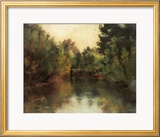 Secluded Pond
