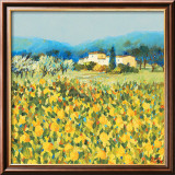 Lemon Grove  Tuscany