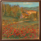 Provencal VIllage VI