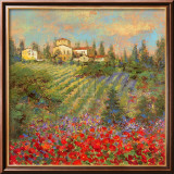 Provencal Village XII