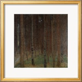 Pine Forest