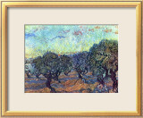 The Olive Grove  c1889