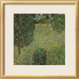 Garden Landscape