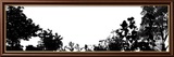 Landscape  c2007