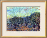 The Olive Grove  c1889