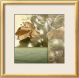 Zen Elements I