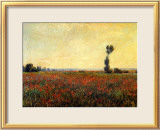 Poppy Landscape