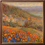 Provencal Village IX