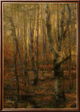 Into The Forest I