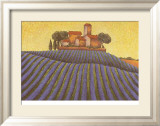 The Colours of Provence III