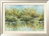 Hamden Pond