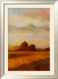 Open Landscape II