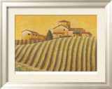The Colours of Provence IV