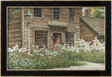 General Store