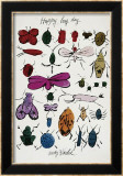 Happy Bug Day  c1954