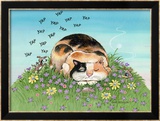 Cat-titude