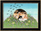 Cat-titude