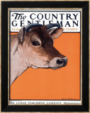 Red Cow  c1923