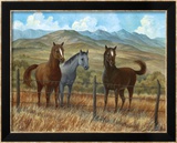 Appaloosa I