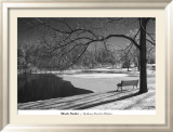 Heritage Pond in Winter