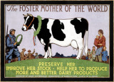 Foster Mother of the World