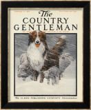 Herding Sheep  c1916