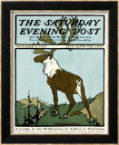 The Elk  c1902