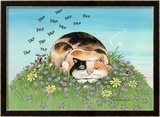 Cat-titude