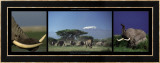 Elephants and Kilimanjaro