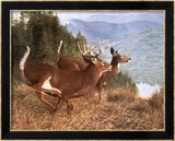 Running Deer